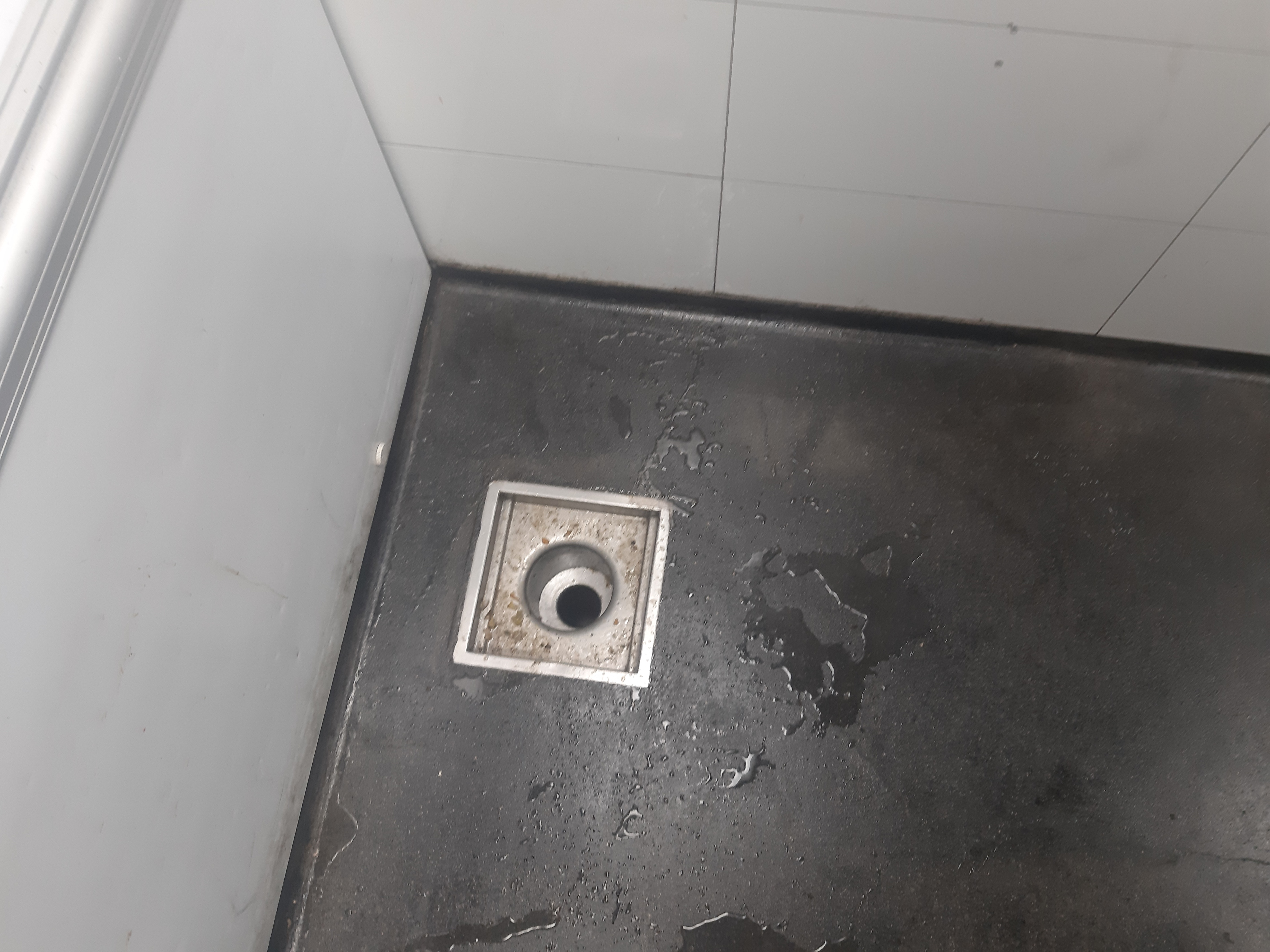 foto1